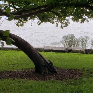 Meet your Posher, Rachelle